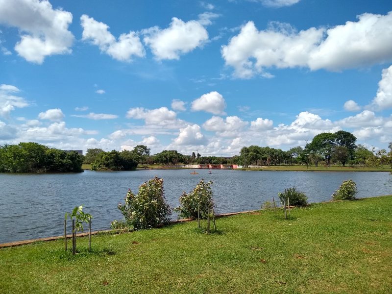 Parque da Cidade: o maior parque urbano do Brasil é gratuito